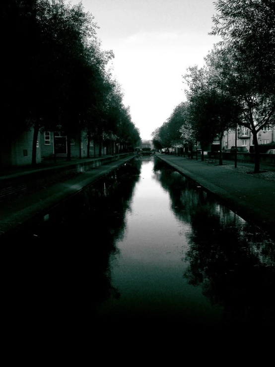 an empty canal runs through the middle of trees