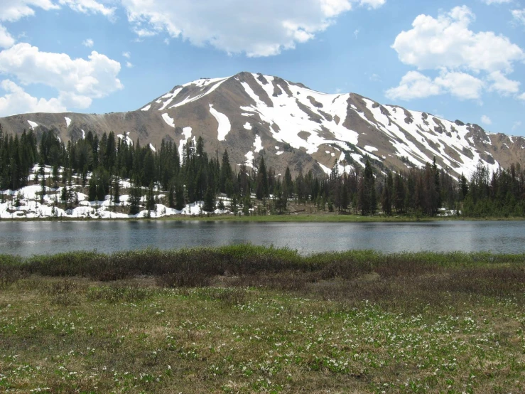 there are trees that can be seen in the distance on this large mountain