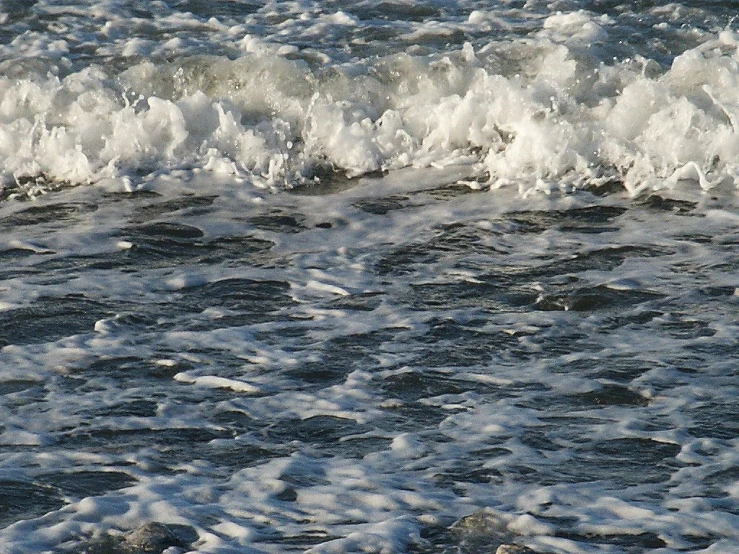 the water was so high that it would catch the surfer