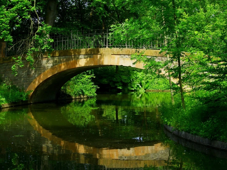 this bridge crosses over a narrow river surrounded by trees