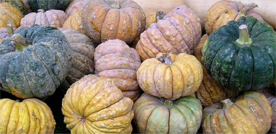 some yellow and green gourds are stacked together