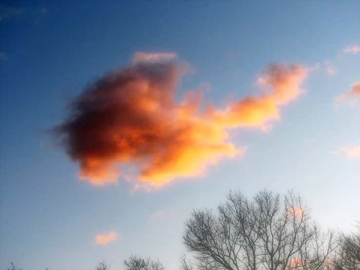 red clouds over trees and a sky with no clouds