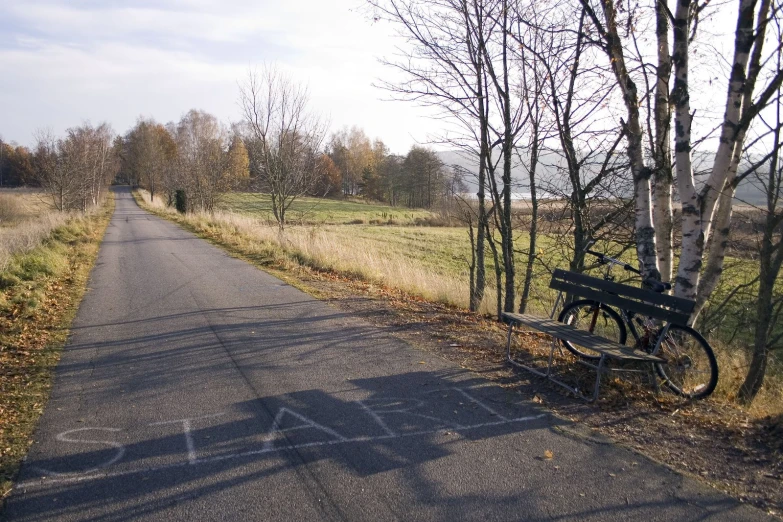 a bench and trees on an empty road