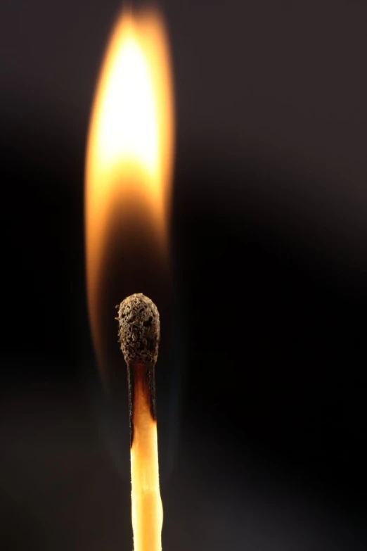 a single cigarette on fire with its tip lit