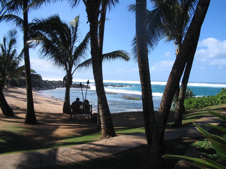 a man sits on a bench under palm trees