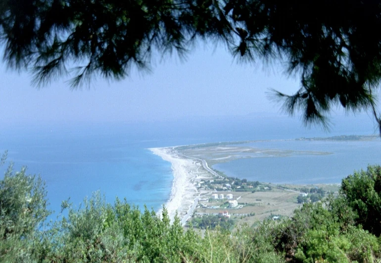 a beach is shown through the trees and bushes