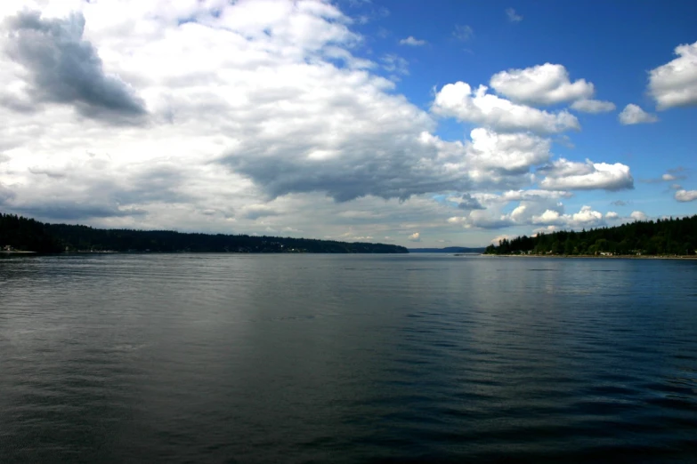 large body of water surrounded by forest on a cloudy day