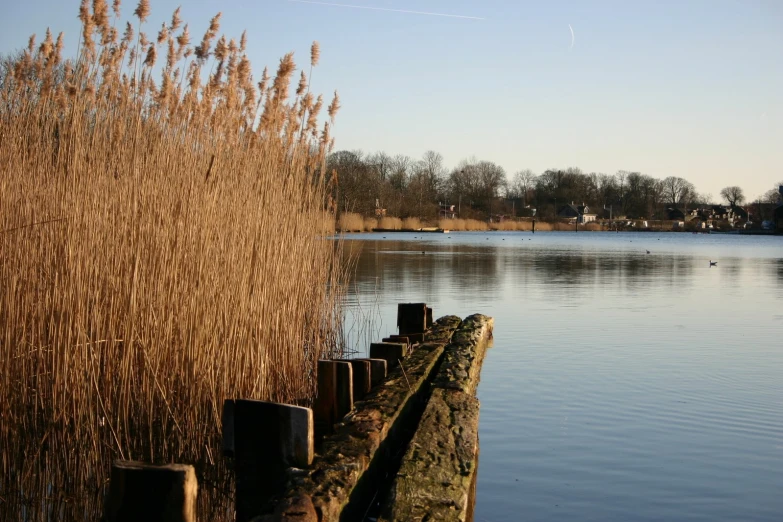 a wooden post next to a body of water