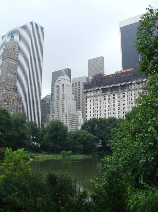 a body of water surrounded by tall buildings