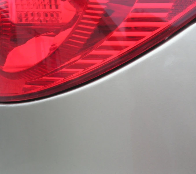 a closeup of a car's tail light with an odd black bird on it