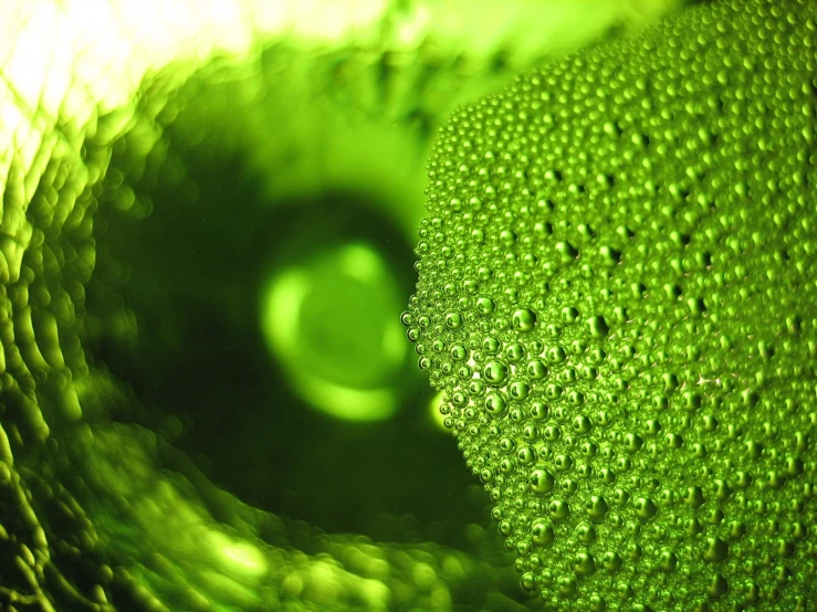 a green apple that has bubbles and drops