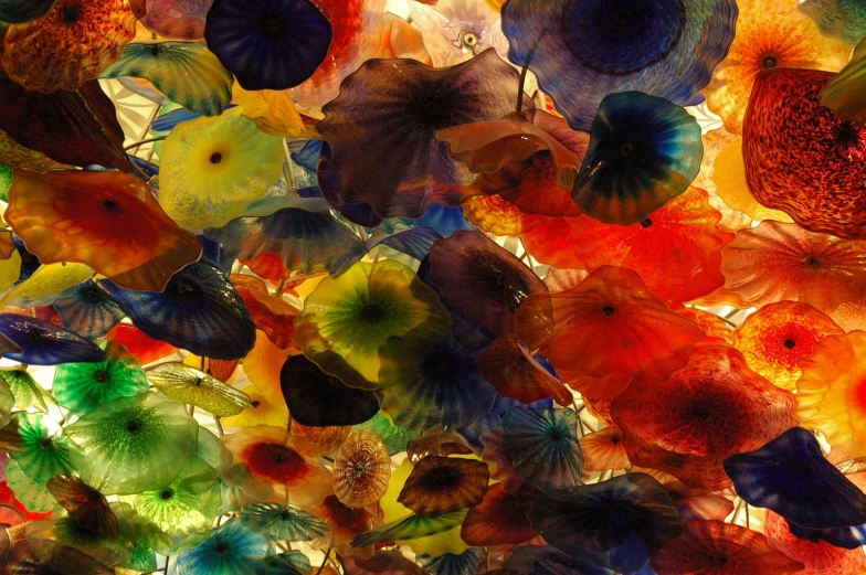 several colorful flowers and leaves on display in a ceiling