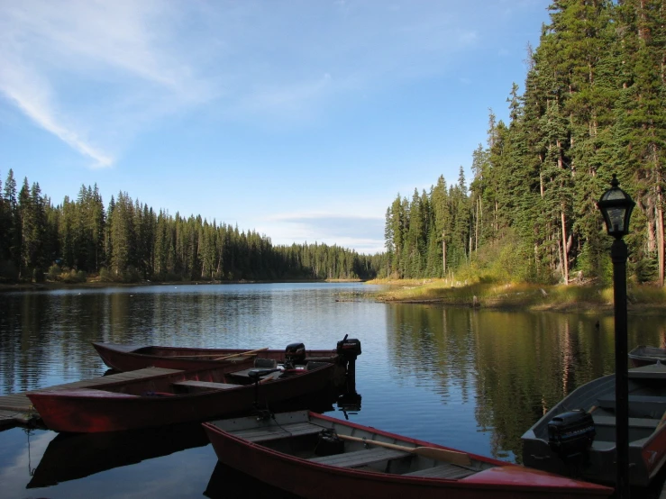 three boats parked in the water next to a forest