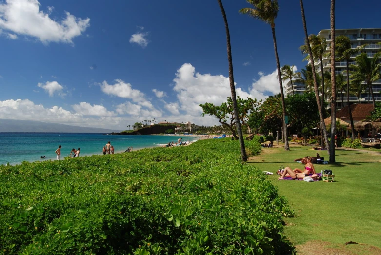 two men and a woman sitting on lawn near the ocean