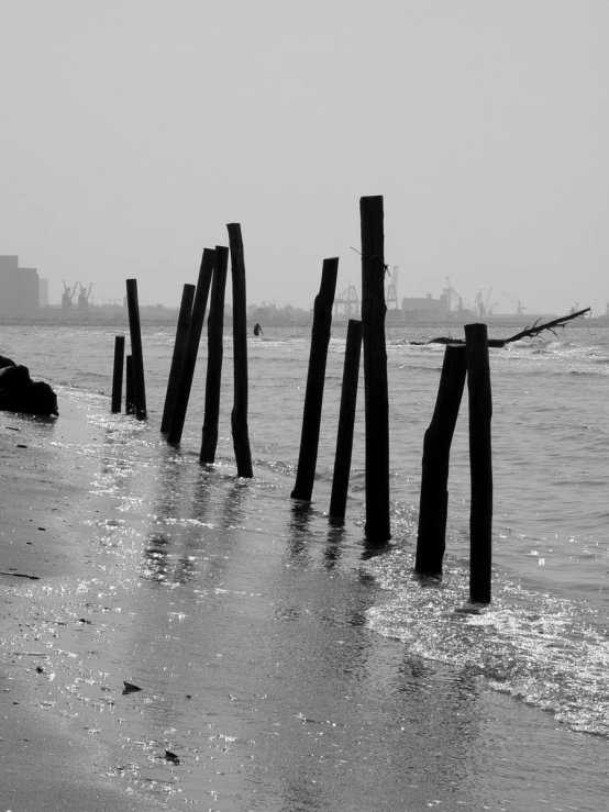 black and white pograph of poles sticking out of the water