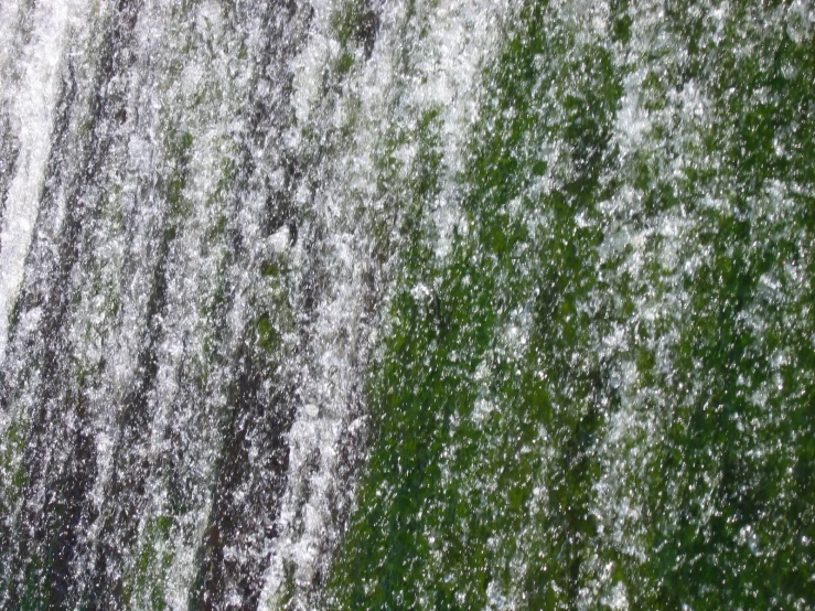 a snow storm with an animal running in the snow