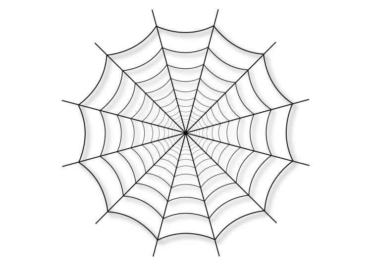 a spider web with the center on it