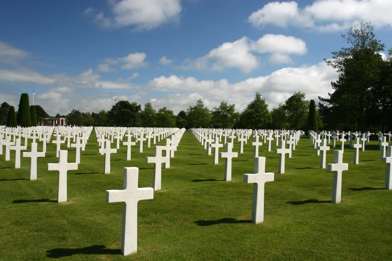 many crosses stand in a row on the grass