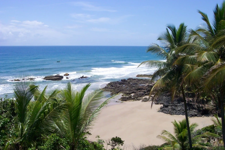 some palm trees on the beach with blue water