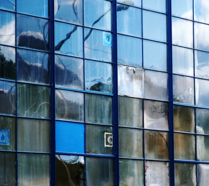 a large window reflects the trees outside