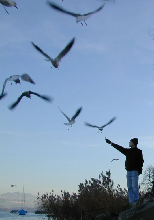 a man looks up into the sky while flying some kites