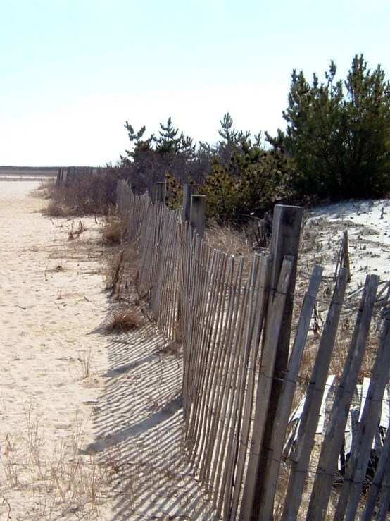 a fence leading into the beach in front of trees