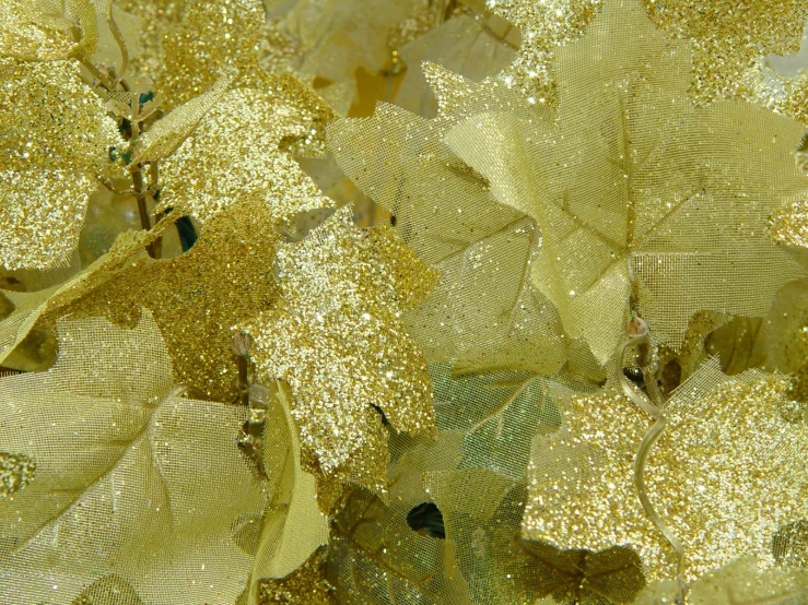 some gold and black leaves on a white surface