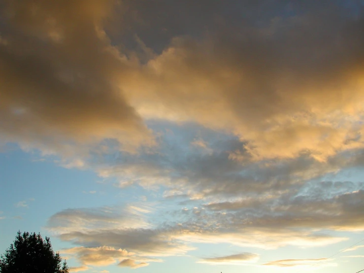 a bird sitting under the clouds at sunset