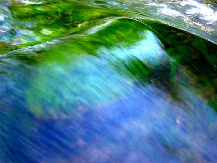 this is a close up view of a green plant