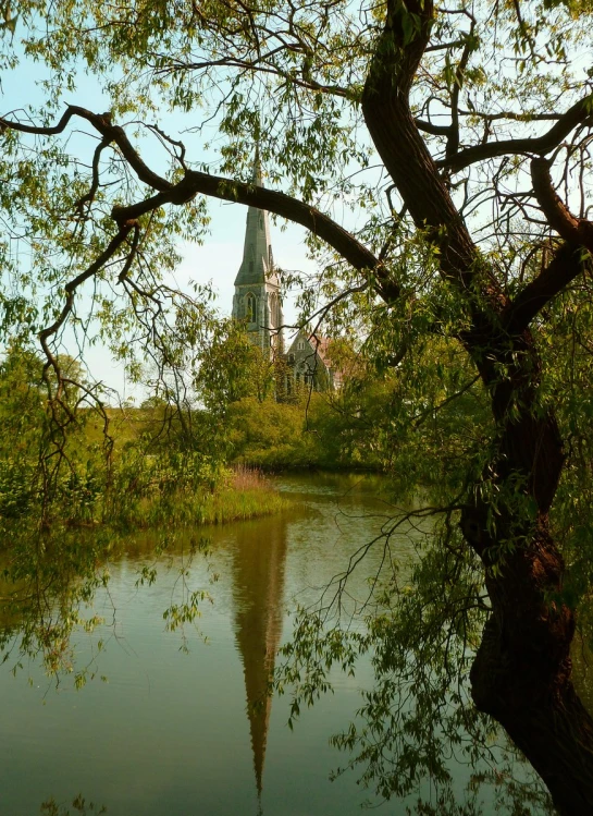 tree and small lake with spire in background