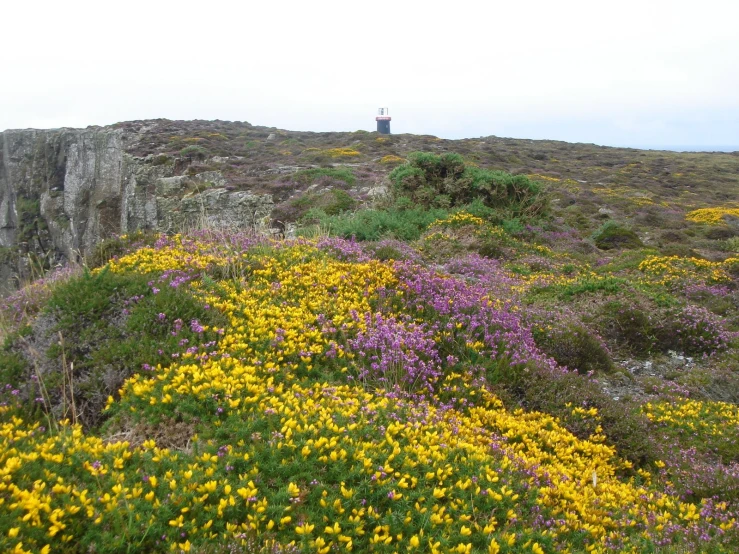 a person is sitting on top of a large cliff