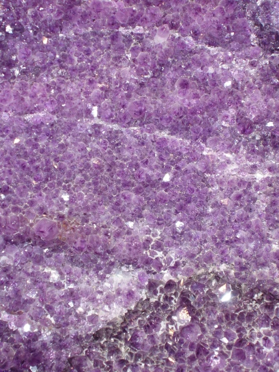 close up image of a large purple object with small white dots