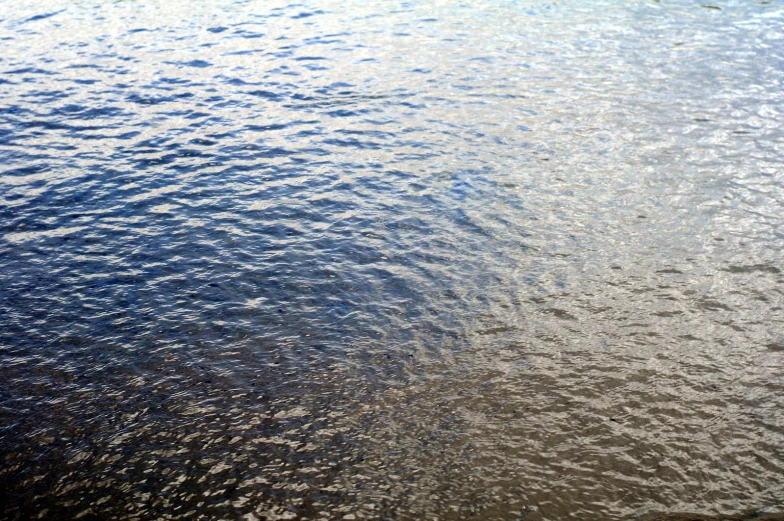 a plane wing floating above the water in a lake