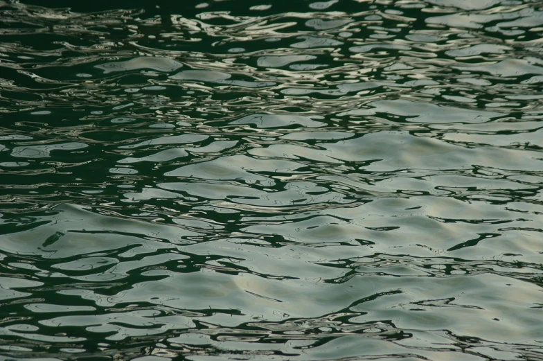 the view of water ripples over the surface