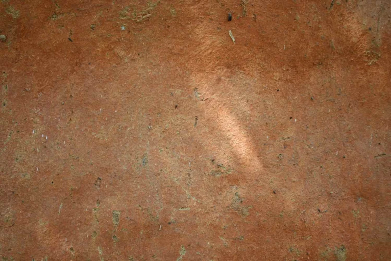 a baseball bat and dirt surface with small, brown dots