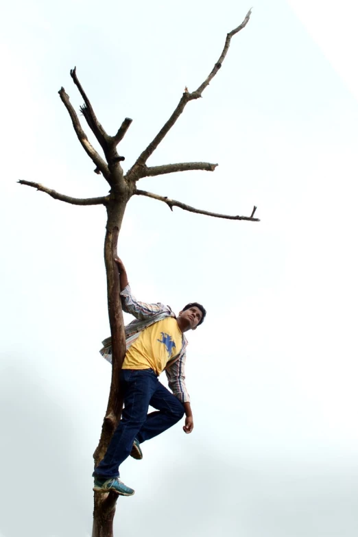 a person hanging upside down in a tree