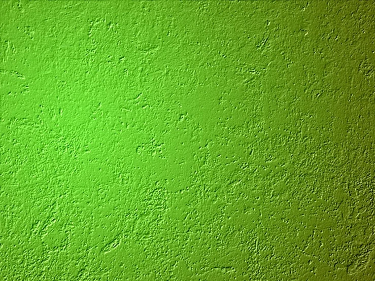 a green wall with s in the concrete