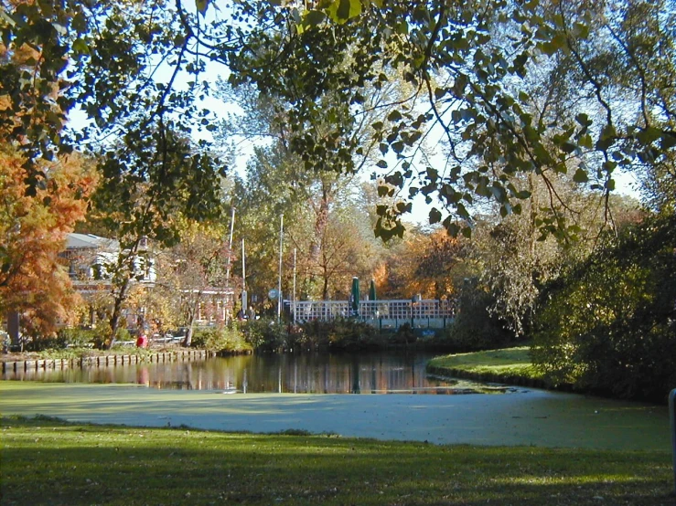 a bench on grass next to a lake