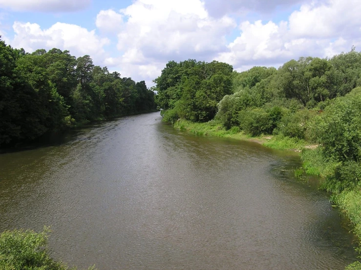 a waterway of water with trees in the background