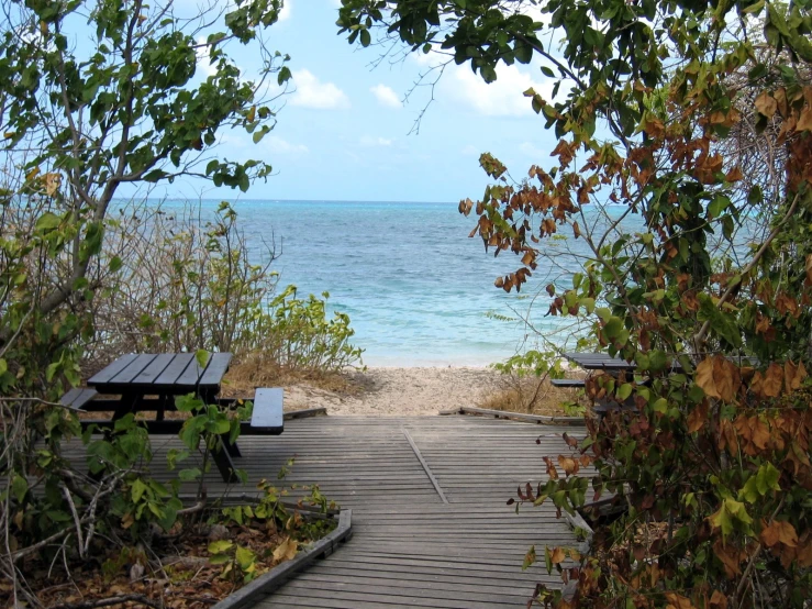 an empty wooden path in front of the ocean