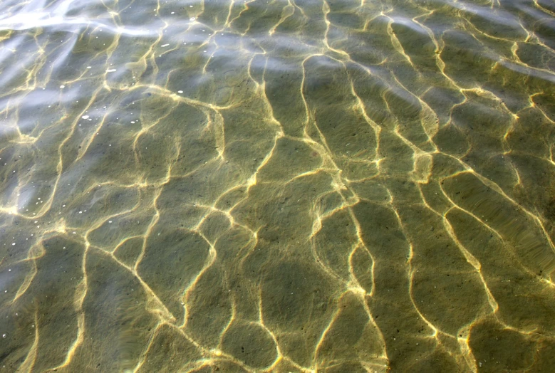 some clear water with bubbles and ripples floating in it