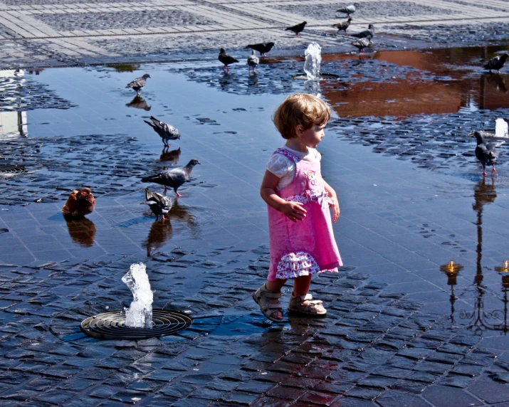 a small girl standing in a dle of water with several seagulls surrounding