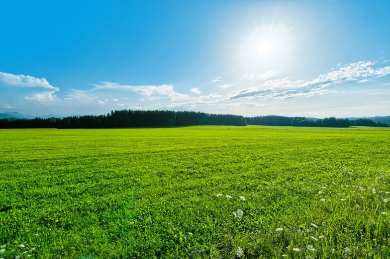 a field with the sun shining in the background