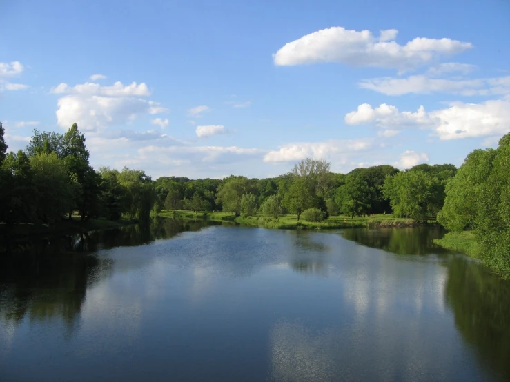 a river surrounded by lush green trees under a blue sky