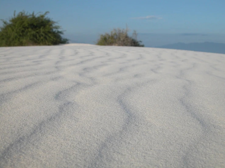 white sand with trees behind it and blue sky