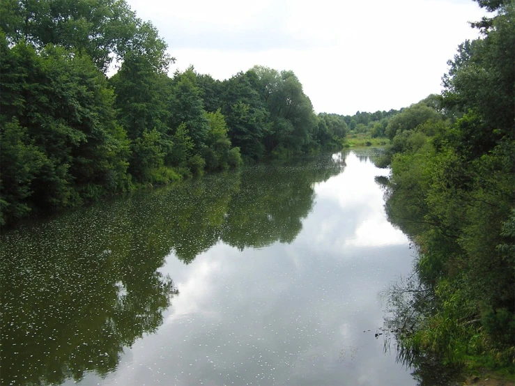 a waterway is being surrounded by forest and grass