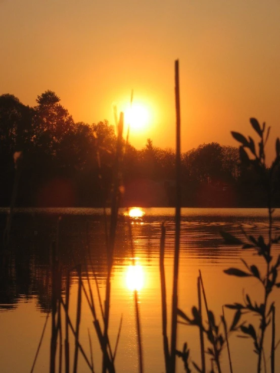 sunset at the river with the setting sun reflecting off of the water