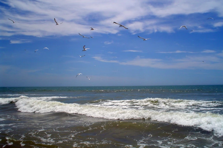flocks of seagulls flying over waves in the ocean