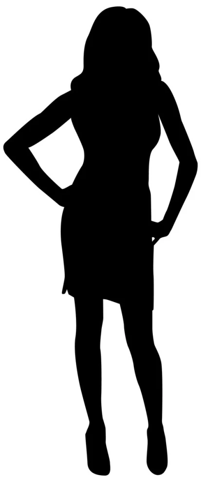 an illustration of the back view of a woman silhouette