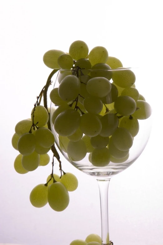 gs in a wine glass with the reflection of the bottle